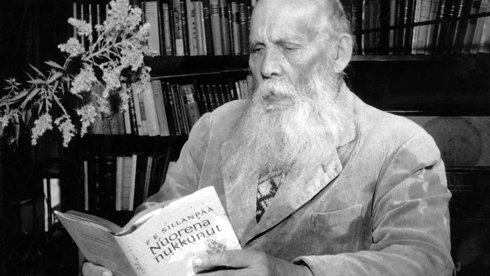弗兰斯·埃米尔·西兰帕在书房中阅读自己的小说《少年早逝》（Nuorena nukkunut）