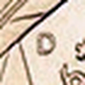€C# 523.2